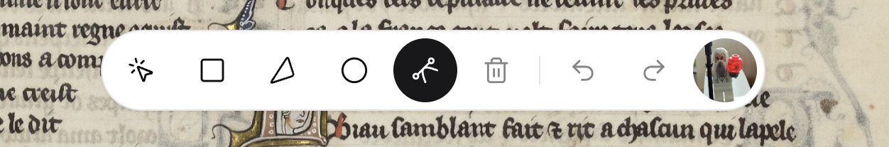 The liiive toolbar with the new Path drawing tool selected